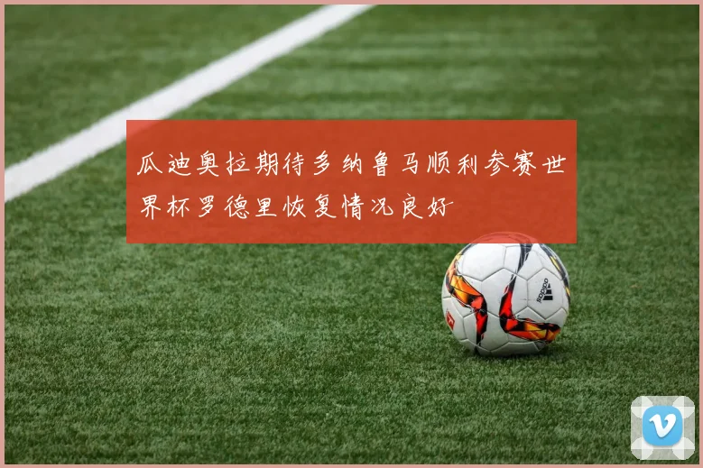 瓜迪奥拉期待多纳鲁马顺利参赛世界杯罗德里恢复情况良好
