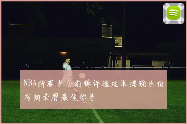 NBA新赛季小前锋评选结果揭晓杰伦布朗荣膺最佳称号