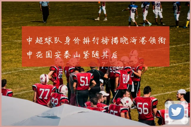 中超球队身价排行榜揭晓海港领衔申花国安泰山紧随其后