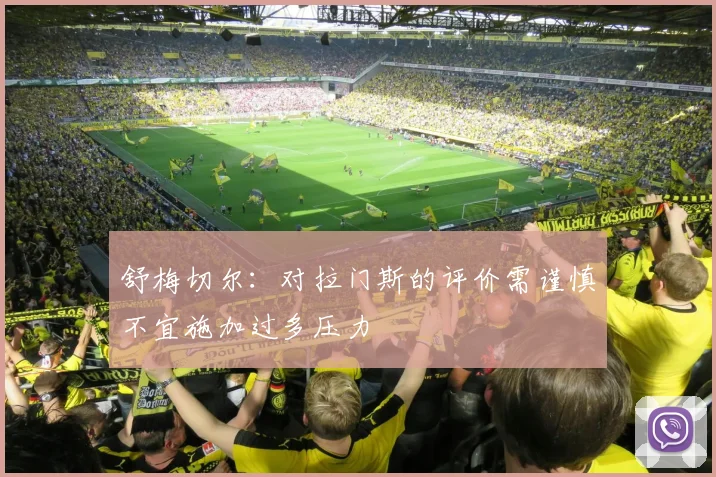 舒梅切尔：对拉门斯的评价需谨慎不宜施加过多压力