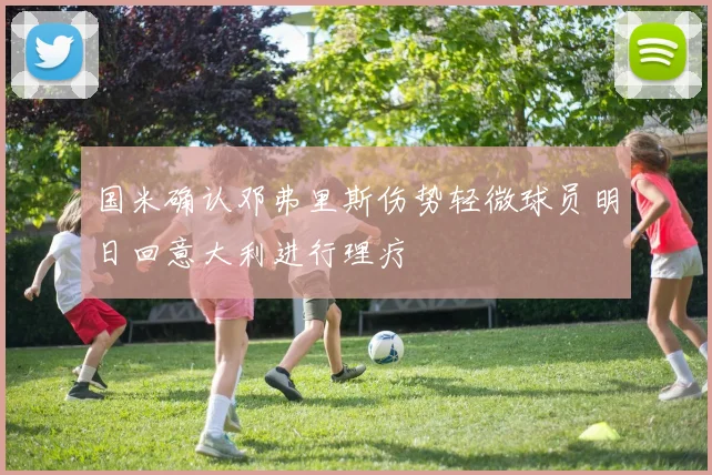 国米确认邓弗里斯伤势轻微球员明日回意大利进行理疗