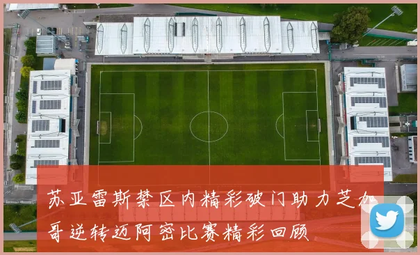 苏亚雷斯禁区内精彩破门助力芝加哥逆转迈阿密比赛精彩回顾