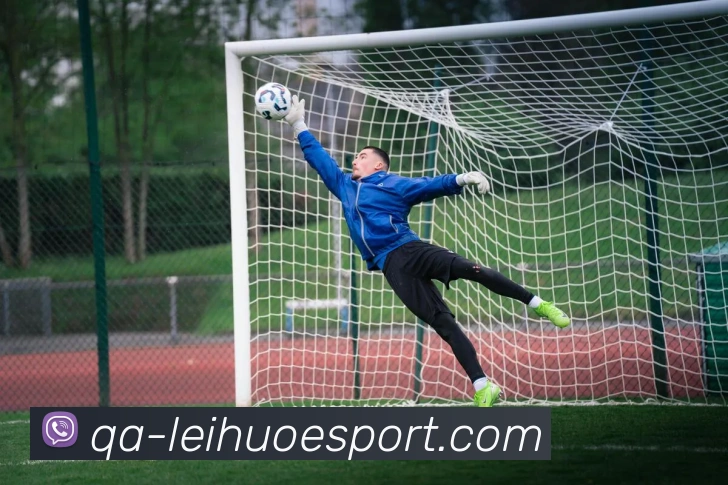 雷火电竞平台生态图