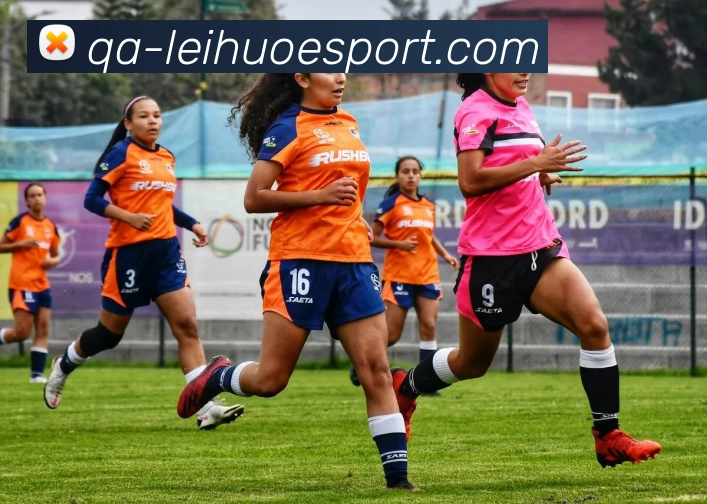 雷火电竞全站App